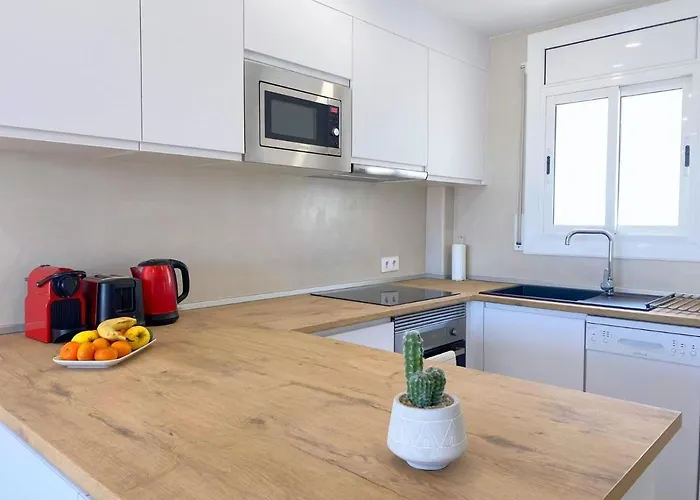 Pet friendly Acapulco B5 Apartment Roses